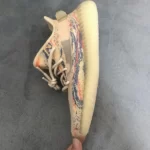 Giày Adidas Yeezy Boost 350 V2 MX Oat Like Auth (7)